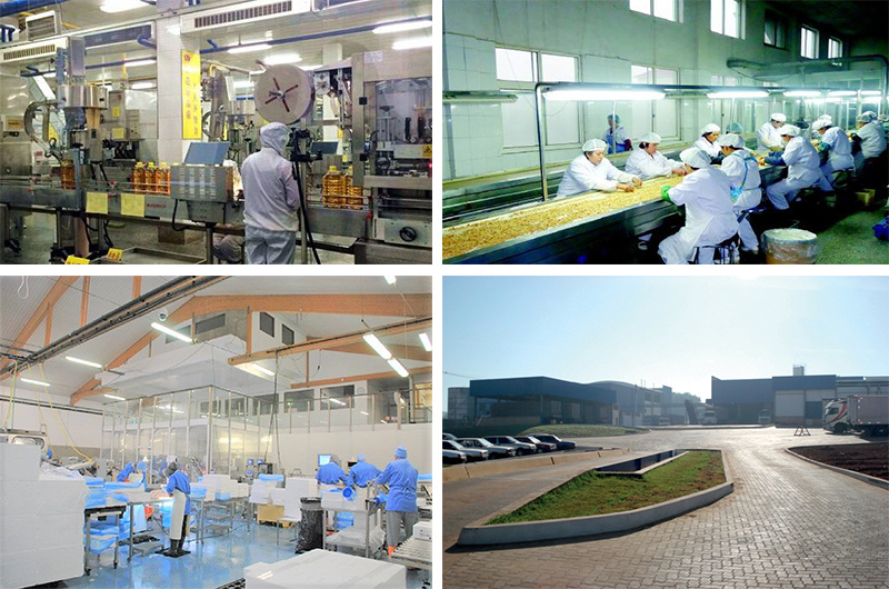Processo de produção
