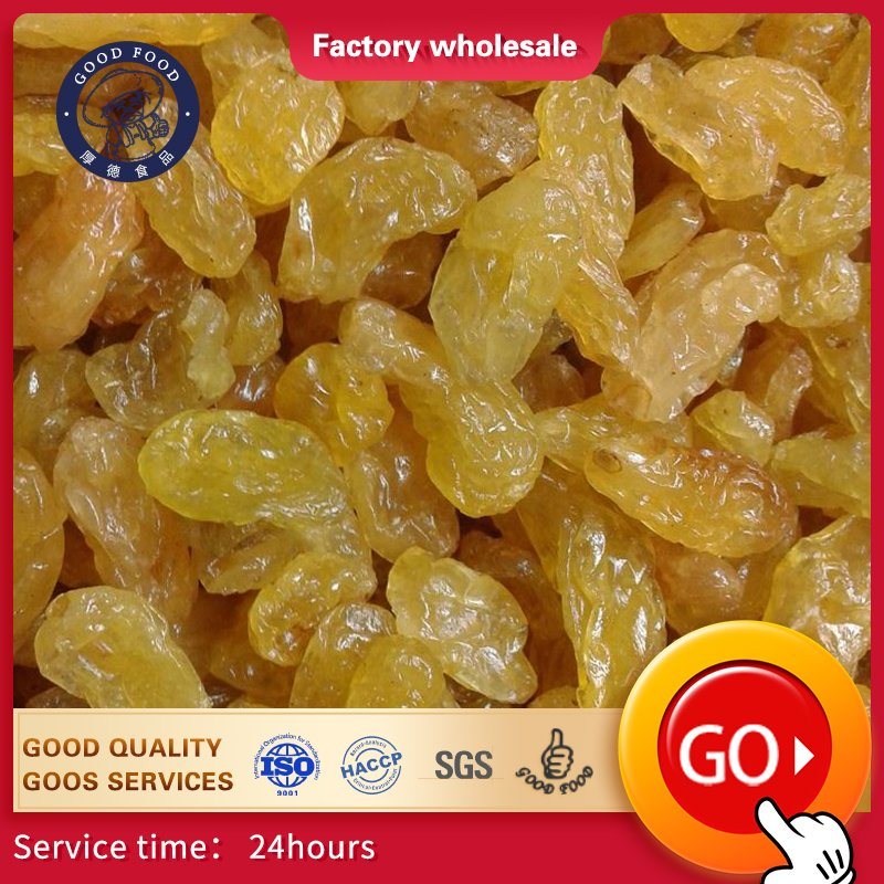 Cor vermelha Kumquat seca