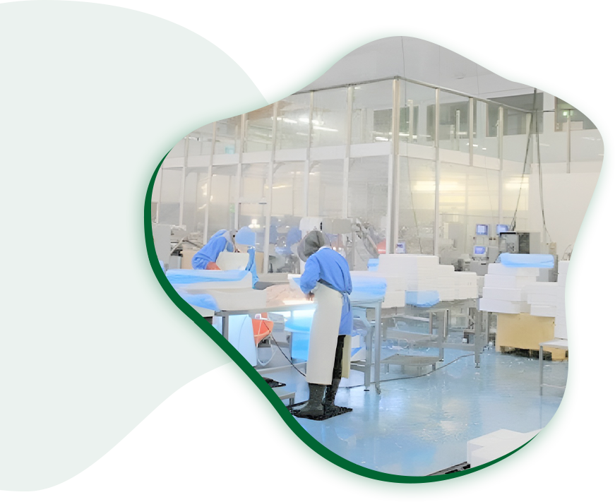 Fabricante de alimentos profissionais de segurança