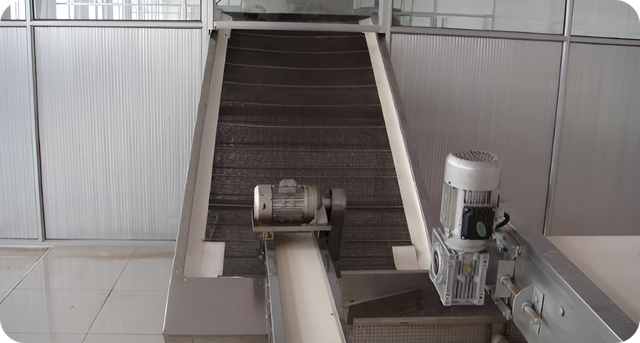 Instalação de fabricação de frutas secas e frutas secas