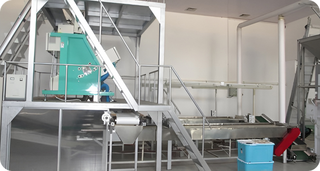Instalação de fabricação de frutas secas e frutas secas