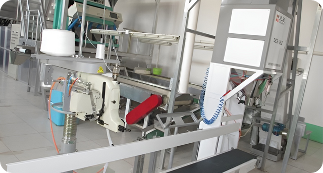 Instalação de fabricação de frutas secas e frutas secas