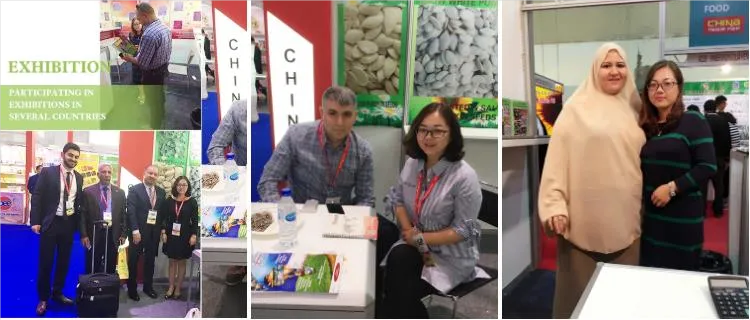 Feiras e exposições de amendoins, frutas secas e macadâmia