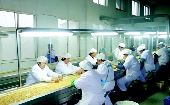 Amendoim, macadâmia e processo de fabricação de frutas secas